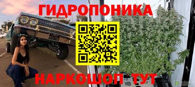 первитин Кингисепп