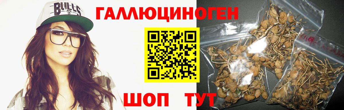 где найти наркотики  Вход с VPN  Юрга  Псилоцибиновые грибы ЛСД 